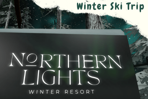 Fabulous field trip: northern lights